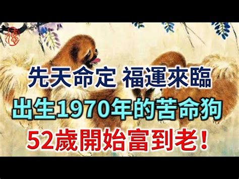 屬狗今年幾多歲|屬狗今年幾歲？2024屬狗生肖年齡對照表！屬狗性格特質